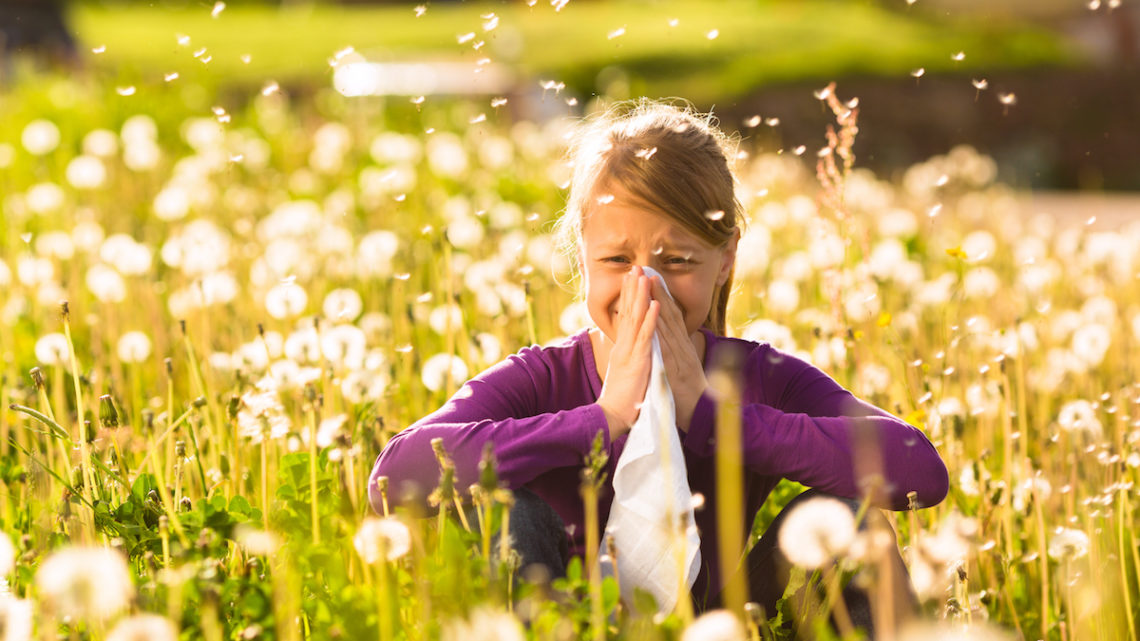 Vitamins, minerals and medicinal plants can relieve allergy symptoms