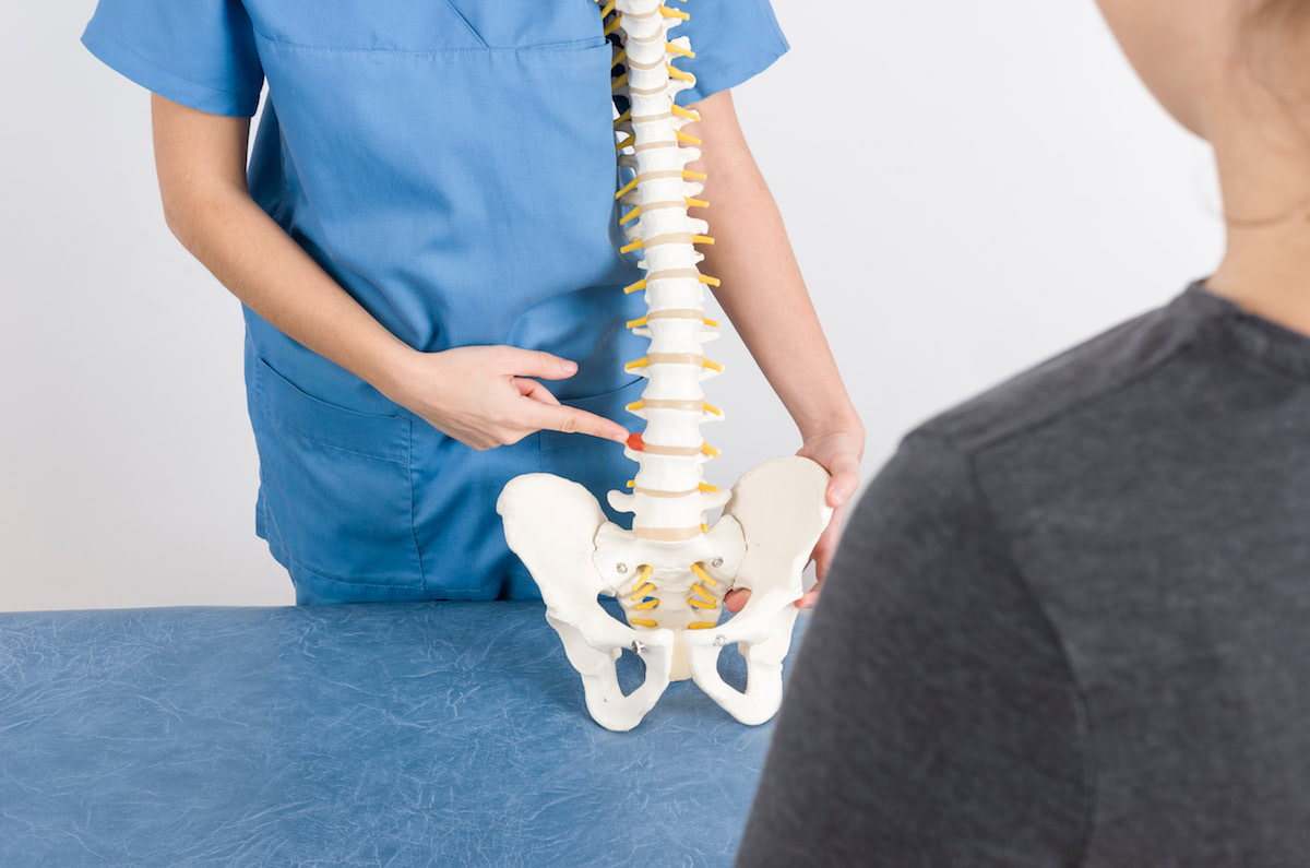 Doctor explains a slipped disc on the basis of a skeleton
