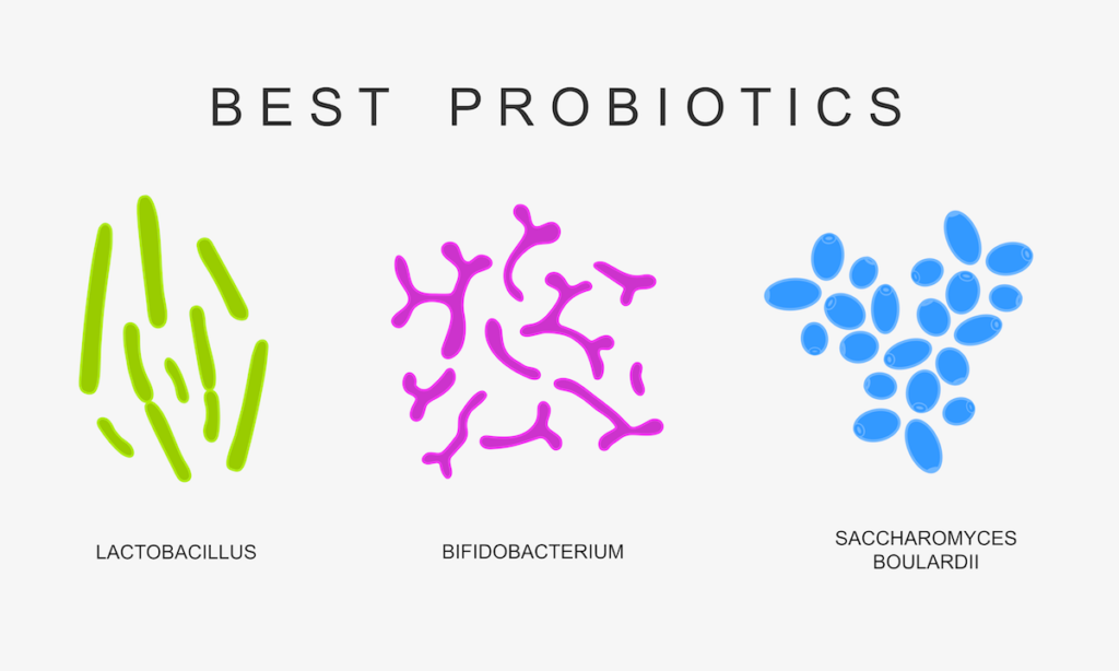 Darmstärkung durch Probiotika - Der Verdauungstrakt kann ebenfalls an der Entstehung eines Bandscheibenvorfalls beteiligt sein