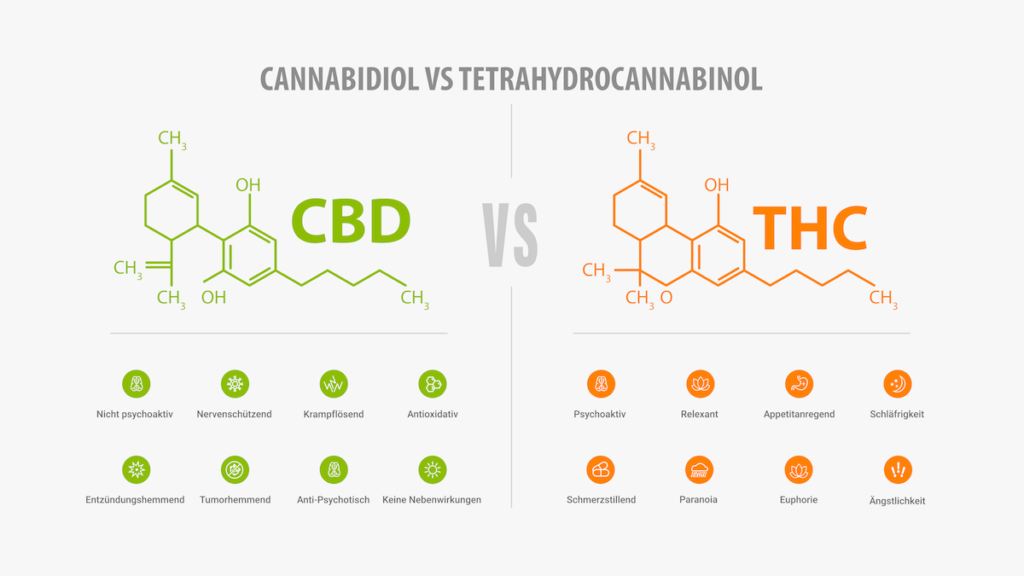 Unterschied zwischen CBD und THC
