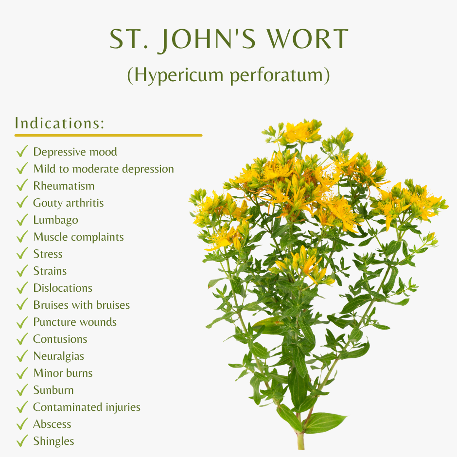 St. John's wort - Indications