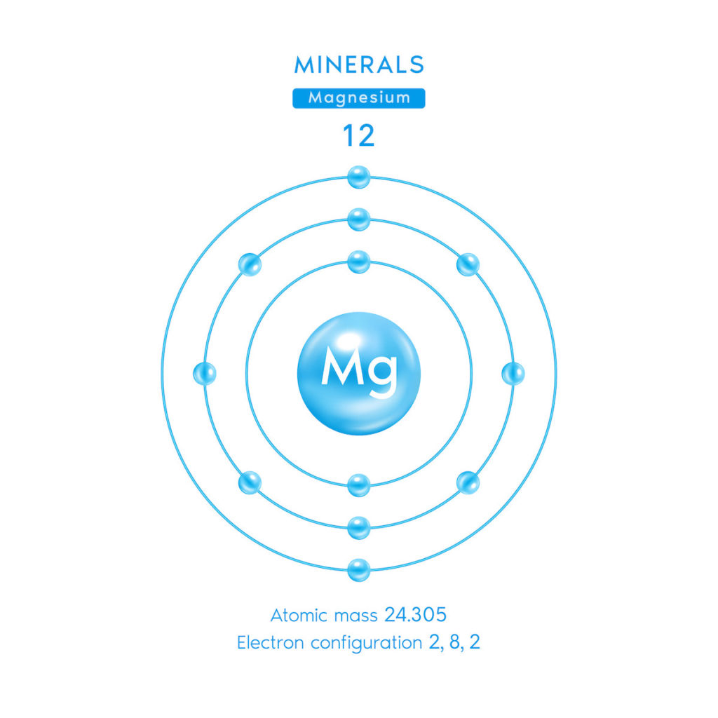 The biological role of magnesium
